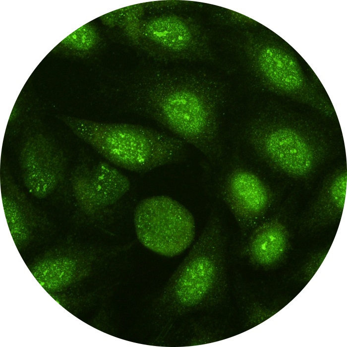 AC-4 image
                        